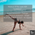 attractive woman in black bikini doing a cartwheel on the beachsand with workout in text