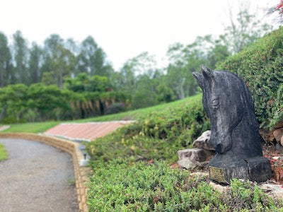 Standown Park - Memorial garden & lake walk