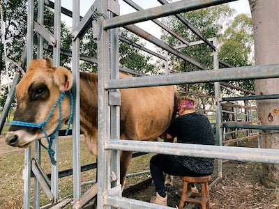 Location #9 - Yeppoon - (Central Queensland pt1)