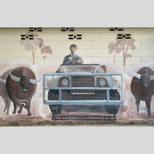 street art image of broncs and bullbars, a drovers life