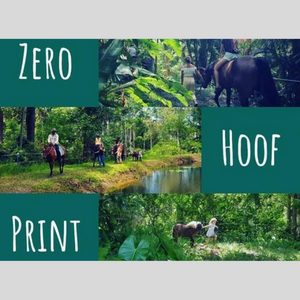 Zero Hoof Print