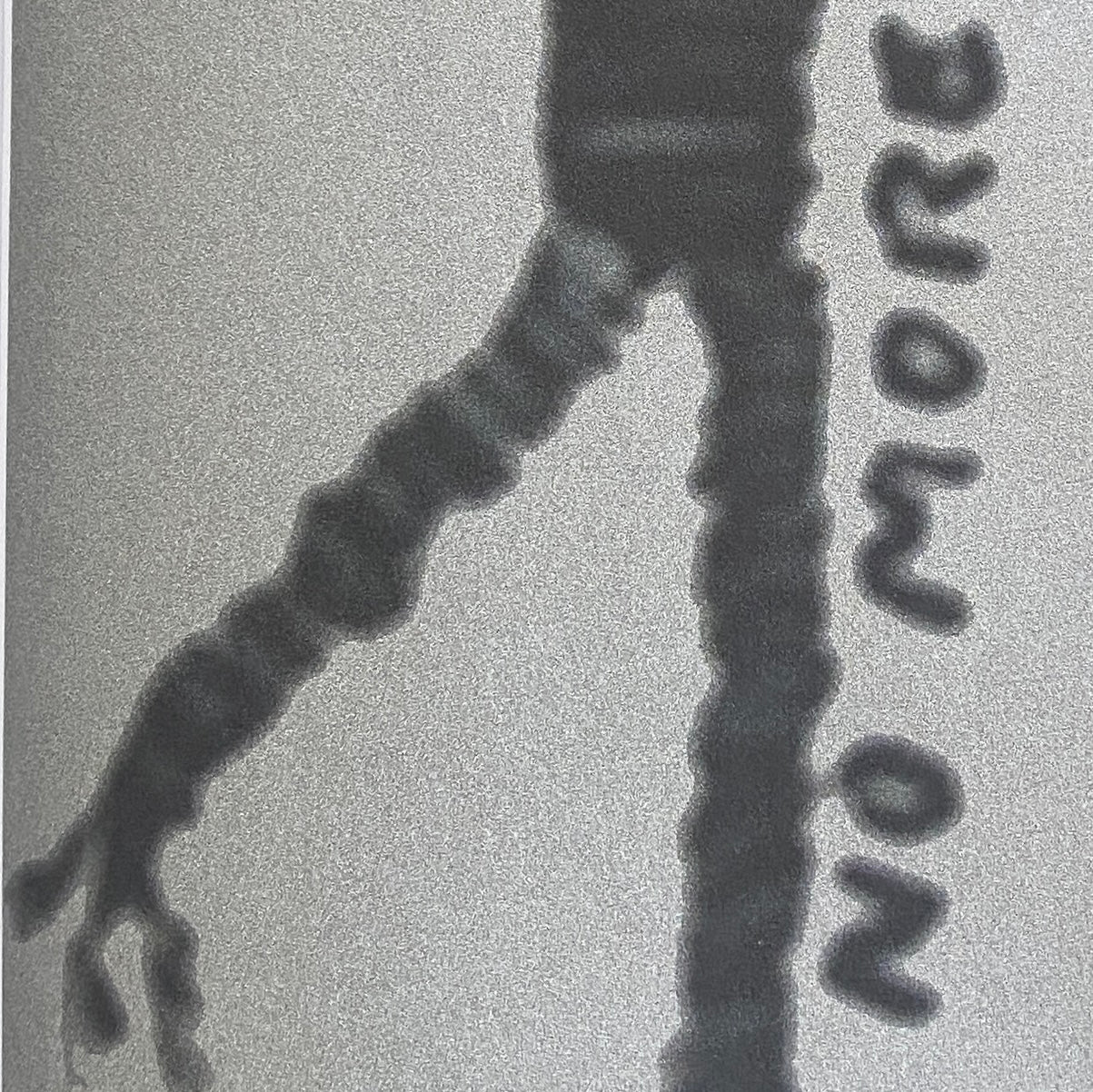 WTF4 - The bonus round